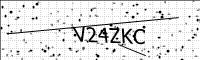 captcha-image