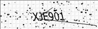 captcha-image