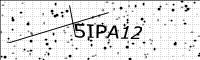 captcha-image