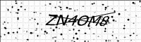 captcha-image