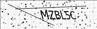 captcha-image