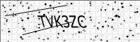 captcha-image
