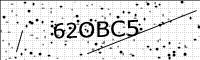 captcha-image