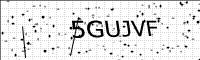 captcha-image