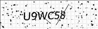 captcha-image