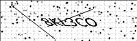 captcha-image