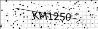 captcha-image