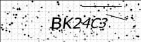 captcha-image