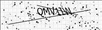 captcha-image