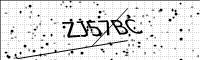 captcha-image