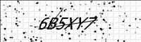 captcha-image
