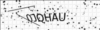 captcha-image