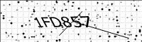 captcha-image