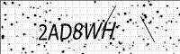 captcha-image