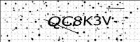 captcha-image