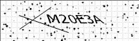 captcha-image