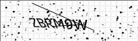 captcha-image