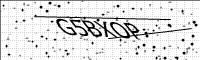 captcha-image