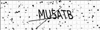 captcha-image