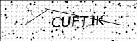 captcha-image