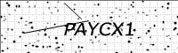 captcha-image