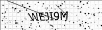 captcha-image