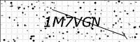 captcha-image
