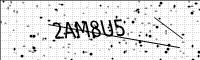 captcha-image