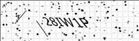 captcha-image