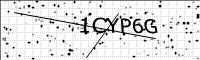 captcha-image