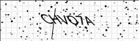 captcha-image