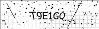 captcha-image
