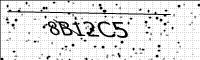 captcha-image