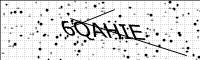 captcha-image