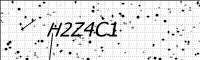 captcha-image
