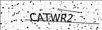 captcha-image