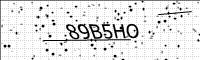 captcha-image
