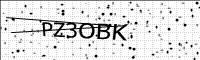 captcha-image