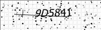 captcha-image
