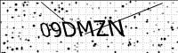 captcha-image