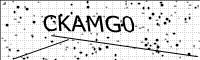 captcha-image