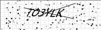 captcha-image