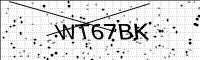 captcha-image