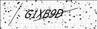 captcha-image