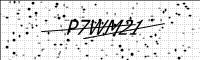 captcha-image