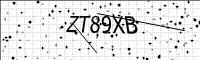 captcha-image