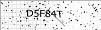 captcha-image