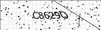 captcha-image