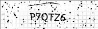 captcha-image