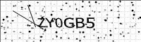 captcha-image